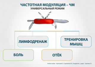 СКЭНАР-1-НТ (исполнение 01)  в Миассе купить Медицинский интернет магазин - denaskardio.ru 